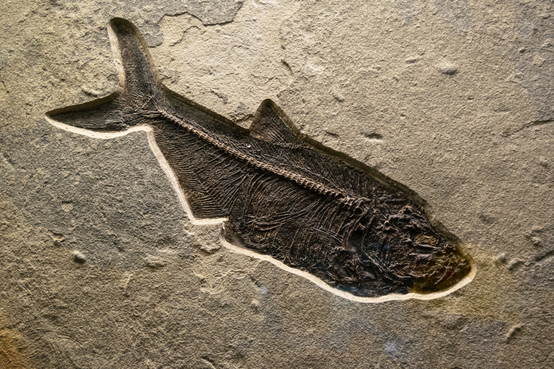 arheološko