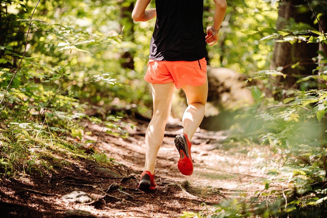 trail