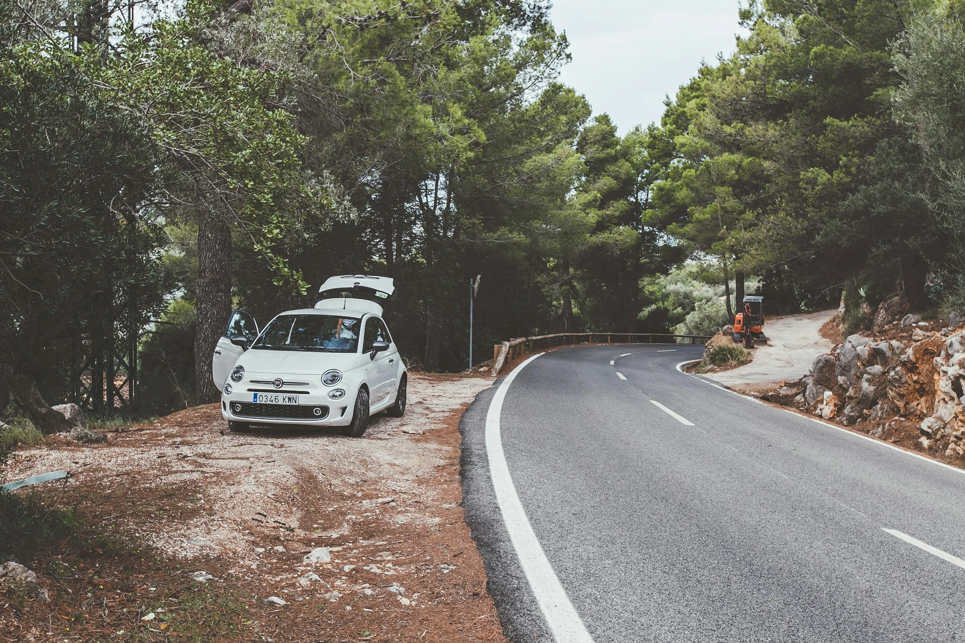 električni automobili